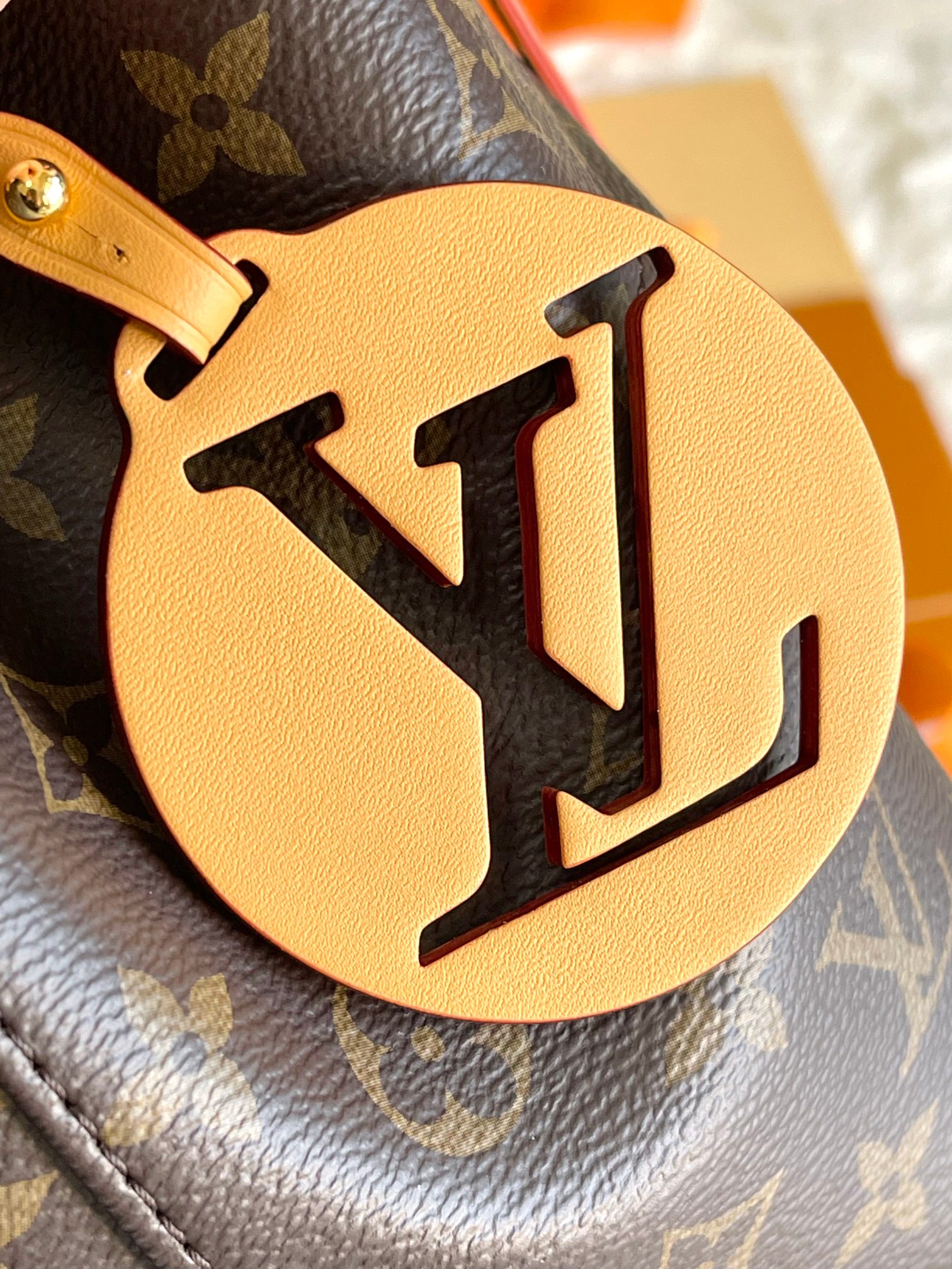 LV Backpacks